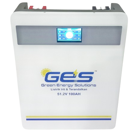 Premium LiFePO4 Battery For Green Energy Storage Systems